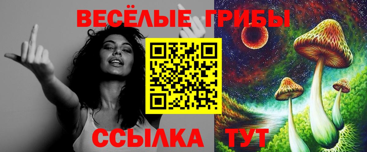 Псилоцибиновые грибы Cubensis  Вход с VPN  сколько стоит  Похвистнево  Галлюциногенные грибы ЛСД 