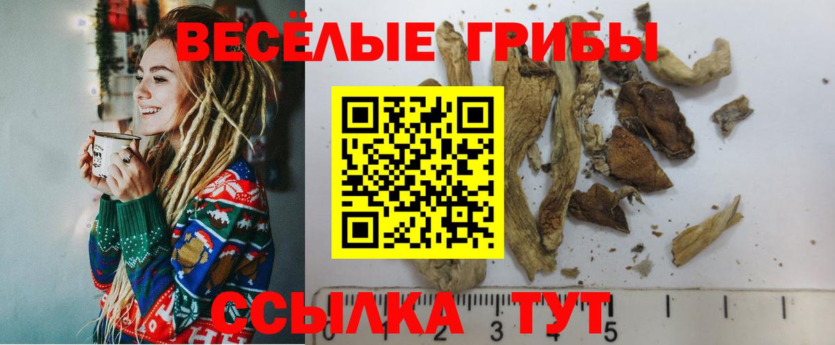 Псилоцибиновые грибы Magic Shrooms Похвистнево